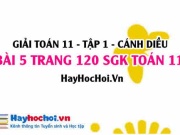 Giải bài 5 trang 120 Toán 11 tập 1 SGK Cánh Diều